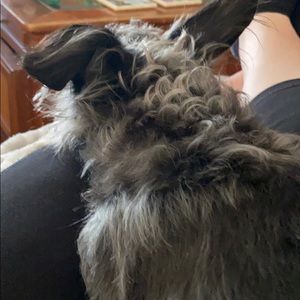 Meet your Posher, Mary